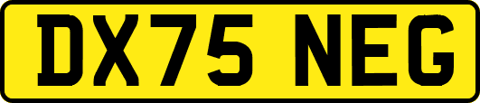 DX75NEG