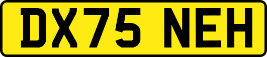 DX75NEH