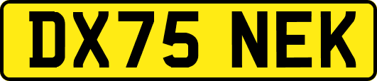 DX75NEK