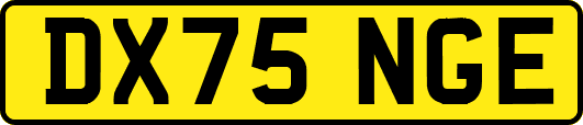 DX75NGE