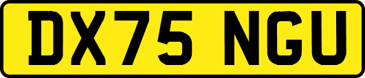 DX75NGU