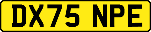 DX75NPE