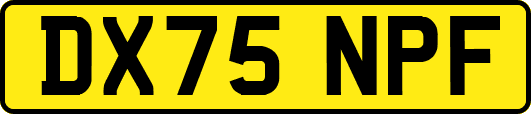 DX75NPF