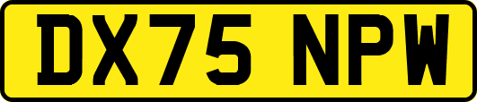 DX75NPW