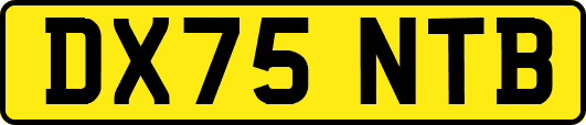 DX75NTB