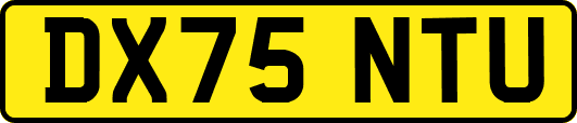 DX75NTU