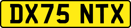 DX75NTX