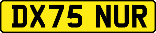 DX75NUR
