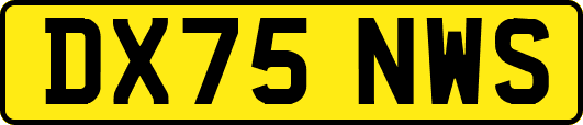 DX75NWS