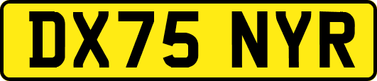 DX75NYR