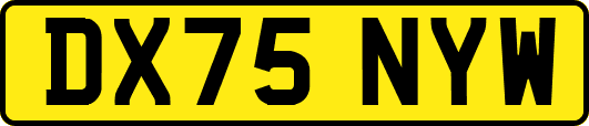 DX75NYW