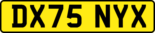 DX75NYX
