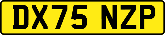 DX75NZP