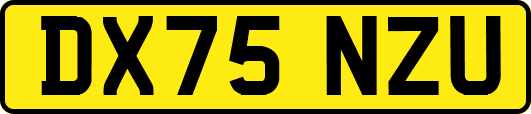 DX75NZU