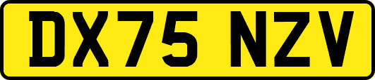 DX75NZV