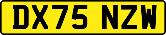 DX75NZW