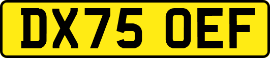 DX75OEF