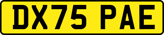 DX75PAE