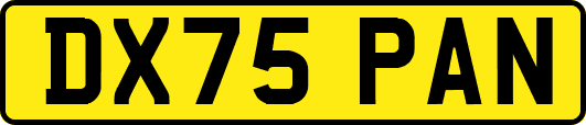 DX75PAN