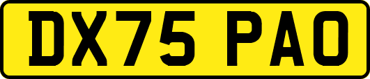 DX75PAO