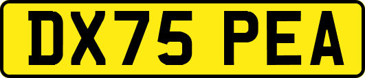 DX75PEA