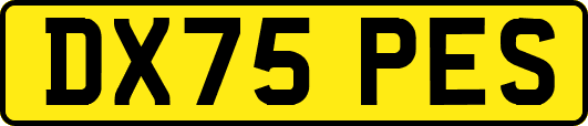 DX75PES