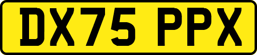 DX75PPX