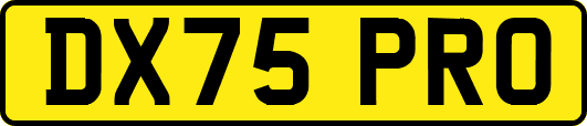 DX75PRO