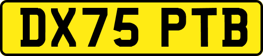 DX75PTB