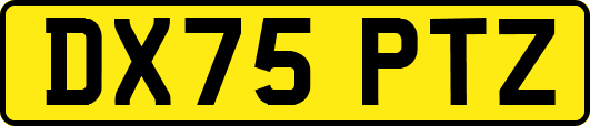 DX75PTZ