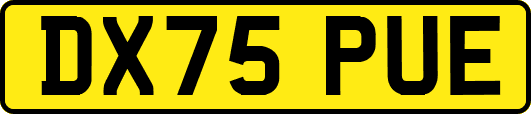 DX75PUE