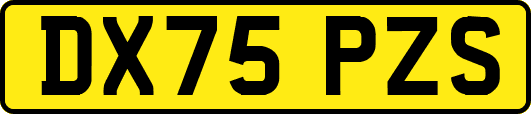 DX75PZS
