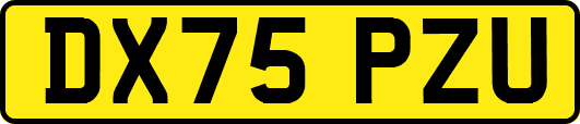 DX75PZU