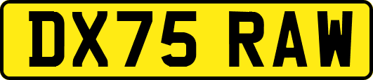 DX75RAW