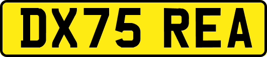 DX75REA