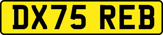DX75REB