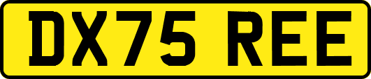 DX75REE