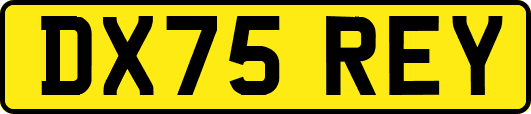 DX75REY