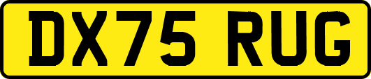 DX75RUG