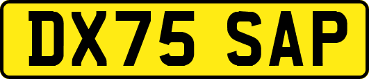 DX75SAP