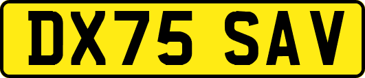 DX75SAV