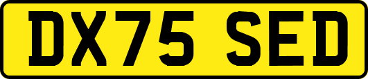 DX75SED