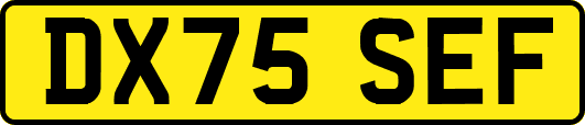 DX75SEF