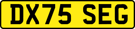 DX75SEG