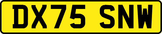 DX75SNW