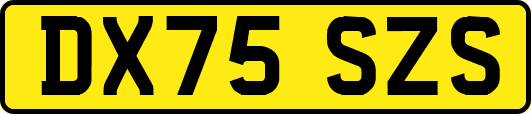 DX75SZS