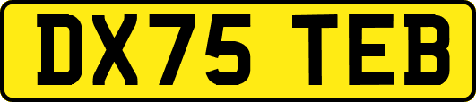 DX75TEB