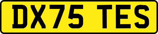 DX75TES
