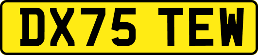 DX75TEW
