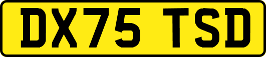 DX75TSD